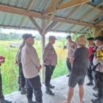 pencurian bebek, 280 bebek, bebek raib, maling bebek, peternak bebek, Desa Sembung, Mengwi, Badung, Polsek Mengwi, Polres Badung, CCTV pencurian, kandang bebek, pencurian ternak, kerugian Rp18 juta, Bali.