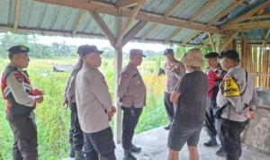 pencurian bebek, 280 bebek, bebek raib, maling bebek, peternak bebek, Desa Sembung, Mengwi, Badung, Polsek Mengwi, Polres Badung, CCTV pencurian, kandang bebek, pencurian ternak, kerugian Rp18 juta, Bali.