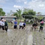 Pemkot Denpasar, Pemerintah Kota Denpasar, Dinas Pertanian Kota Denpasar, Gerakan Tanam Padi, Gertam Padi, Padi Cakrabuana Agritan, Subak Sembung, Peguyangan, Denpasar Utara,