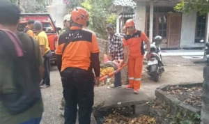 Sukerti, Terperosok Jurang, Tim SAR, SAR Gabungan, Evakuasi, BPBD Buleleng, Desa Sudaji, Desa Silangjana, Kecamatan Sukasada, Pura Puncak Cemara Geseng, Buleleng Emergency Service, RSUD Buleleng, Bali, Berita Buleleng