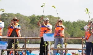 Gubernur Bali Wayan Koster, gerakan tanam mangrove, mangrove Bali, Hari Mangrove Sedunia 2026, ekosistem pesisir, pelestarian mangrove, Tahura Ngurah Rai, Batu Lumbang, Nangun Sat Kerthi Loka Bali, Menteri Lingkungan Hidup, Sakti Wahyu Trenggono