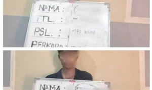 Kornelis Mangu, Ferianus BO, pencurian sepeda motor, curanmor, Polsek Denpasar Timur, Polresta Denpasar, Denpasar Timur, Renon, Lapangan Bajra Sandhi, Benoa, Denpasar Selatan, Sesetan, Denpasar Barat, Jalan Pulau Batanta, Sumba Barat Daya, NTT, Honda Beat, Honda Scoopy, Pasal 477 KUHP