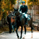 Satrio Wibowo, The President Cup, The President Cup National Competition, show jumping, olahraga berkuda, PORDASI, Raja Khayangan Klinik Bali, Jakarta, Almor Stable, Royal Sport Horse Bali.