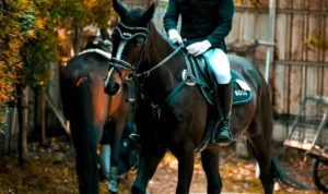 Satrio Wibowo, The President Cup, The President Cup National Competition, show jumping, olahraga berkuda, PORDASI, Raja Khayangan Klinik Bali, Jakarta, Almor Stable, Royal Sport Horse Bali.