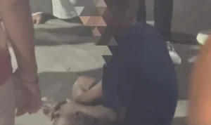 mabuk miras, perusakan toko mebel, Nusa Dua, Kuta Selatan, Badung, OMN, Polsek Kuta Selatan, Polresta Denpasar, Iptu I Gede Adi Saputra Jaya, kerusakan sofa.
