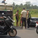 kecelakaan Sangeh, kecelakaan Badung, Jalan Raya Sangeh, Abiansemal, Honda Brio, Mitsubishi Truck, Laka Lantas Polres Badung