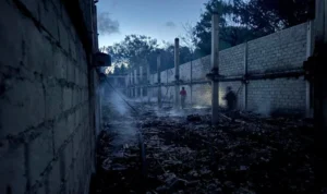 Kandang ayam terbakar, Kuta Selatan, Badung, kebakaran kandang ayam, 19 ribu ayam broiler, ayam mati terbakar, I Wayan Suarjana, kerugian Rp1,2 miliar, Polsek Kuta Selatan, kebakaran Badung