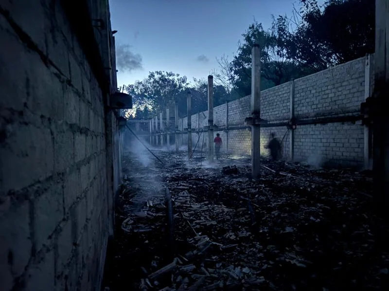 Kandang ayam terbakar, Kuta Selatan, Badung, kebakaran kandang ayam, 19 ribu ayam broiler, ayam mati terbakar, I Wayan Suarjana, kerugian Rp1,2 miliar, Polsek Kuta Selatan, kebakaran Badung
