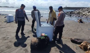 kapal tenggelam Kapal kargo tenggelam, MK Baruna, Padang Galak, Kesiman Petilan, Denpasar Timur, Dermaga Sanur, kapal tenggelam, ombak besar, gelombang 4 meter, Satpolairud Polresta Denpasar, KSOP Sanur, evakuasi kapal, Nusa Lembongan.