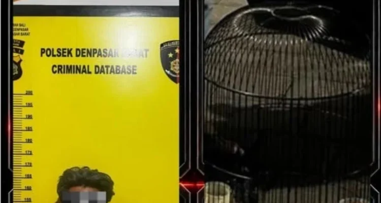 Pencurian Burung Murai Batu, Mohamad Misyan, Burung Murai Rp25 Juta, Polsek Denpasar Barat, Polresta Denpasar, Pencurian Burung, Karyawan Curi Burung, Bos dan Karyawan, Pemecutan Denpasar, Denpasar Barat, Probolinggo, Jawa Timur, Pencurian di Denpasar, Kasus Pencurian Bali.
