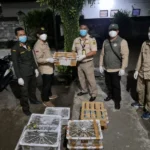 Pelabuhan Padangbai, Karangasem, Karantina Bali, Heri Yuwono, burung tanpa dokumen kesehatan, perdagangan satwa ilegal, BKSDA Karangasem, TNI AL, KP3 Padangbai, burung pleci, glatik wingko, cucak kombo, ciblek, kancilan mas, opyor jambul, madu sriganti, cendet, Avian Influenza, flu burung, Undang-Undang Karantina Hewan, penyelundupan satwa, Bali.