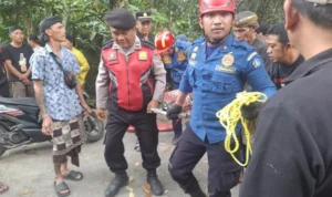 Tim Rescue Badung, evakuasi lansia, lansia tewas, jatuh ke jurang, jurang 25 meter, Pangsan Petang, Badung, kecelakaan, Polsek Petang, RSD Mangusada, Puskesmas Petang I