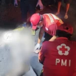 Kecelakaan Denpasar, kecelakaan maut, Teuku Umar Barat, Padangsambian Klod, Polresta Denpasar, Satlantas Polresta Denpasar, pengendara motor tewas, Honda Beat, mobil pikap, kecelakaan lalu lintas Bali.
