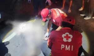 Kecelakaan Denpasar, kecelakaan maut, Teuku Umar Barat, Padangsambian Klod, Polresta Denpasar, Satlantas Polresta Denpasar, pengendara motor tewas, Honda Beat, mobil pikap, kecelakaan lalu lintas Bali.