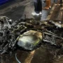WNA Ukraina, bule Ukraina, kecelakaan tunggal, motor sport terbakar, motor terbakar, Jalan Pantai Berawa, Tibubeneng, Kuta Utara, Badung, Kasih Ibu General Hospital, Polsek Kuta Utara, Polres Badung, Diskarmat Badung, kecelakaan WNA, Bali.