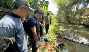 Penemuan jasad orok, Pererenan, Sungai Shortcut, Banjar Pengembungan, Mengwi, Badung, Sungai Watch, Polres Badung, Polsek Mengwi, pemeriksaan forensik