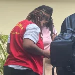 Tyeisha Kieonne Parks, WN Amerika Serikat, kasus ganja Bali, ganja 36,71 gram, vonis PN Denpasar, Pengadilan Negeri Denpasar, narkotika Bali, WNA kasus narkoba, Bandara Ngurah Rai, ganja di Bali, Bea Cukai Ngurah Rai, Tyeisha divonis satu tahun, kasus narkotika WNA