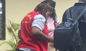 wna amerika Tyeisha Kieonne Parks, WN Amerika Serikat, kasus ganja Bali, ganja 36,71 gram, vonis PN Denpasar, Pengadilan Negeri Denpasar, narkotika Bali, WNA kasus narkoba, Bandara Ngurah Rai, ganja di Bali, Bea Cukai Ngurah Rai, Tyeisha divonis satu tahun, kasus narkotika WNA