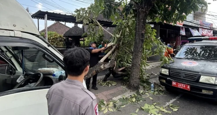 kecelakaan Badung, kecelakaan Sempidi, Jalan Denpasar-Gilimanuk, mobil Isuzu pick up box, sopir tewas, Satlantas Polres Badung, RSD Mangusada, kecelakaan lalu lintas Bali.