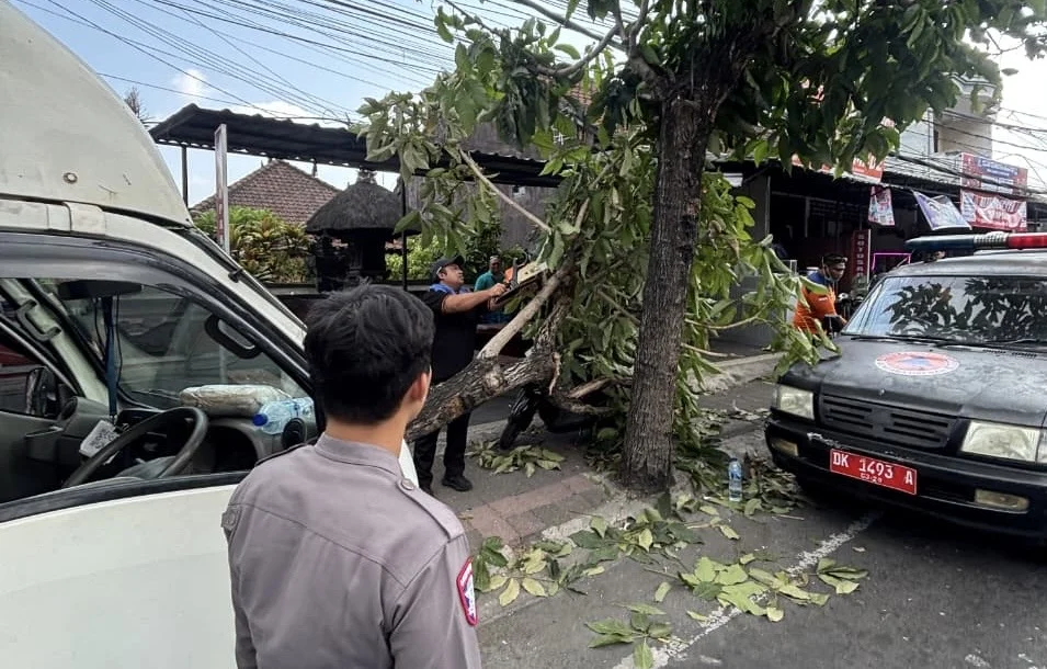 kecelakaan Badung, kecelakaan Sempidi, Jalan Denpasar-Gilimanuk, mobil Isuzu pick up box, sopir tewas, Satlantas Polres Badung, RSD Mangusada, kecelakaan lalu lintas Bali.