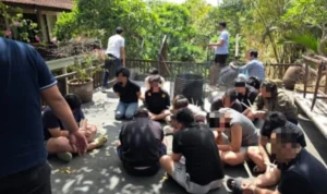 Imigrasi Bali, Imigrasi Ngurah Rai, Scam Kuta Utara, Pinjol WNA Bali, WNA Malaysia Ditangkap, WNA Singapura Ditangkap, Penyalahgunaan Izin Tinggal Bali, Operasi Keimigrasian Dalung
