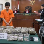 Akmal, ganja 3,2 kilogram, kasus narkotika, PN Denpasar, Polda Bali, peredaran ganja, narkotika Golongan I, Jalan Raya Pemogan, Denpasar Selatan, sidang narkotika.