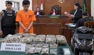 IMG_0102 Akmal, ganja 3,2 kilogram, kasus narkotika, PN Denpasar, Polda Bali, peredaran ganja, narkotika Golongan I, Jalan Raya Pemogan, Denpasar Selatan, sidang narkotika.