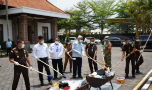 Kejari Badung, pemusnahan barang bukti, narkotika, sabu-sabu, ganja, ekstasi, kokain, Citizenbali.com.